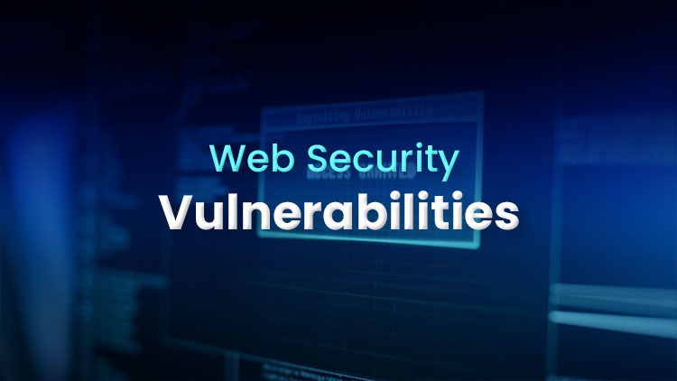web-security-vulnerabilities
