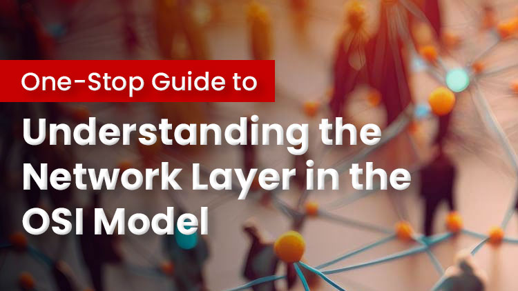 Network Layer in the OSI Model